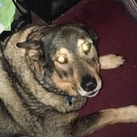 Rayma Smith - @rayma2005 - Instagram