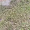 raymarsmith2 - @raymar.smith - TikTok