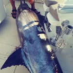 Raymond Adcock - @muttsdad22 - Instagram