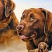 Raymond Ager - Facebook