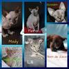 Raymonde Allain - @raymonde.allain - TikTok