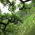 Raymond Walter - @raymond.walter.9 - Instagram