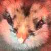 user9562340631847 - @raymondalter - TikTok