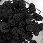 Ray Amaral - Facebook
