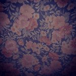Raymond Angulo - @purerouset - Instagram