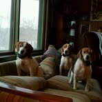 Raymond Applebee Sr - Facebook