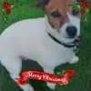 raymondlapping - @raymondlapping - TikTok