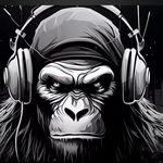 Raymond Arends - @djthebuzzz - Instagram