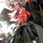 Raymond Arendse - @arendseraymond32 - Instagram