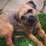 Jackie Arnott-Raymond - @jackiear1 - Instagram