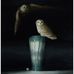 Ray Ault - Facebook