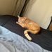 Raymond Ayres - Facebook