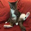 Raymond Baba - @raymond.baba75 - TikTok