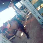 Raymond_Badger - @raymond_badger6 - Instagram