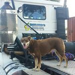 Raymond Ballard - @ballardraymond - Instagram