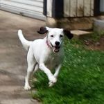 Raymond Lee Ballard - @raymond.lballard.3133 - Instagram
