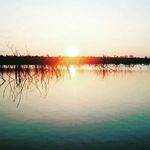 Raymond - @raymondbarnard40 - Instagram