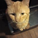 Raymond  Barnett - @raymondbarnett64 - Instagram