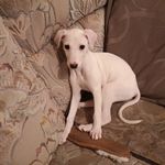Raymond Barnett - @raymond.barnett.31149 - Instagram