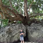 Raymond Baron - Facebook