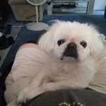 Raymond Bay - @rb49wb35 - Instagram