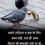 Sandeep Kumar - @ra.ymondbayer - Instagram