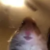 Raymond Beale - @raymondbeale518 - TikTok