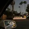 Raymond Beale - @raymond.beale6 - TikTok