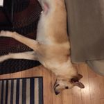 Raymond Beard - @remarkable_raymond_beard - Instagram