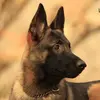 Raymond Beaty - @raymond.beaty - TikTok