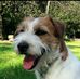 Raymond Beckham - Facebook
