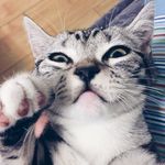 任雨蕾 - @raymond_bee_man - Instagram