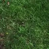 Raymond_beets - @raymond._.beets - TikTok