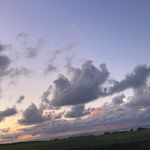 @raymondbeets_main_ - Instagram