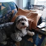 Raymonde Bellini - @belliniraymonde - Instagram