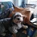 Raymonde Bellini - Facebook