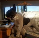 Ray Benbow Sr. - Facebook