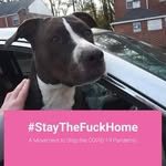 Raymond Benner - @raymond.benner.75 - Instagram