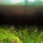 Raymond Mwendwa - Facebook