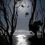 raymond blevins - @raymond.blevins - Instagram
