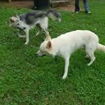 Raymond Blevins - @raymondblevins - Instagram