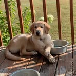 Raymond Blevins - Facebook