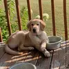 Raymond Blevins - @raymond.blevins6 - TikTok