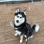 Raymond - @raymond.bodegom - Instagram