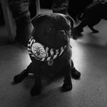 Raymond T-Bone Wilkie - @raymond_tbone - Instagram