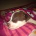 Raymond Bonin - Facebook