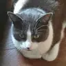 Raymond Boyer - @raymond.boyer - TikTok