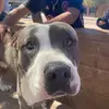 Raymond Bracamonte - @raymond.bracamont59 - TikTok