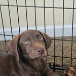 Raymond Bruner - @raymondbruner251 - Instagram