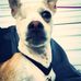 Raymond Burdette - Facebook